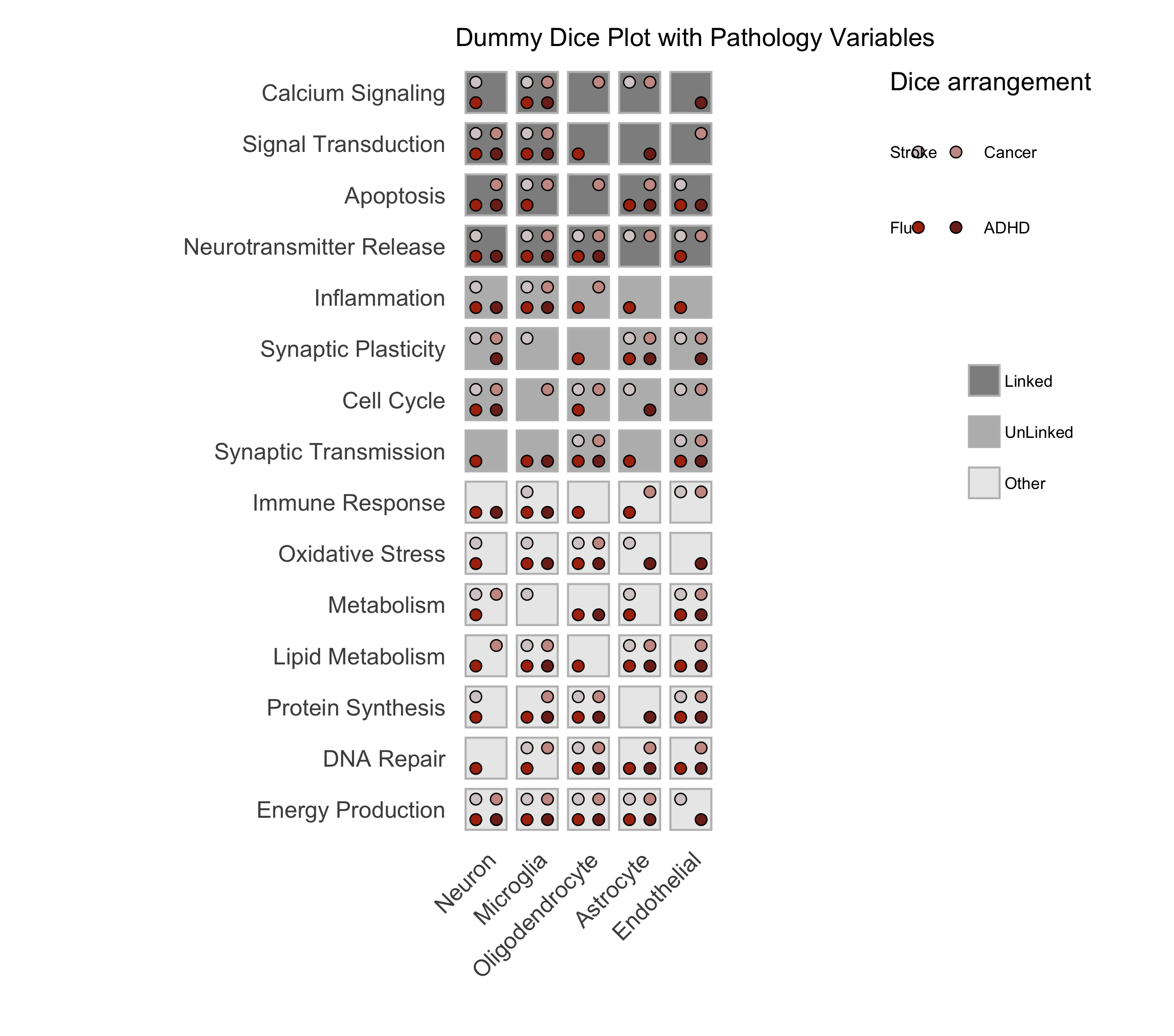 Sample Dice with 4 categories Plot