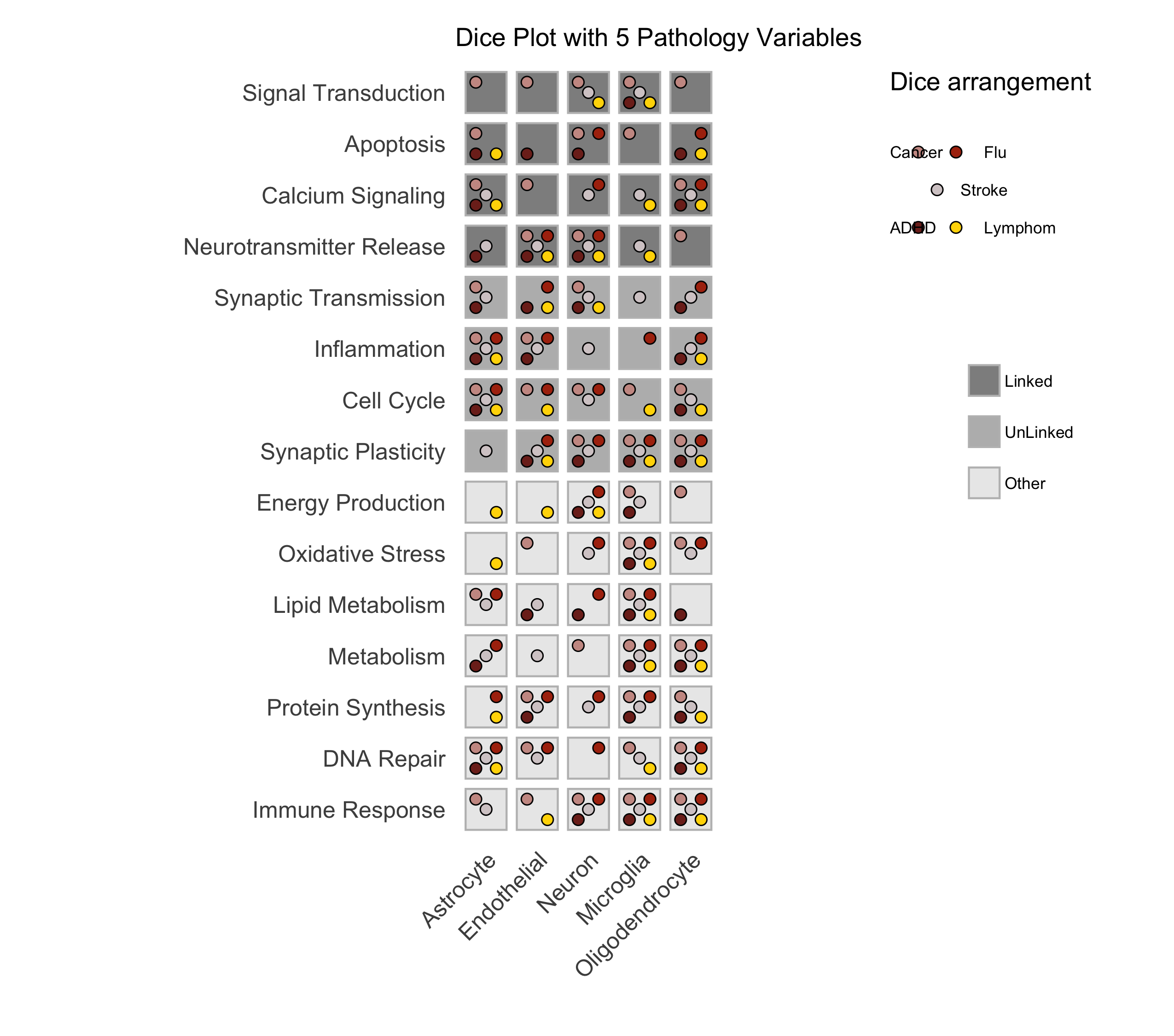 Sample Dice with 5 categories Plot