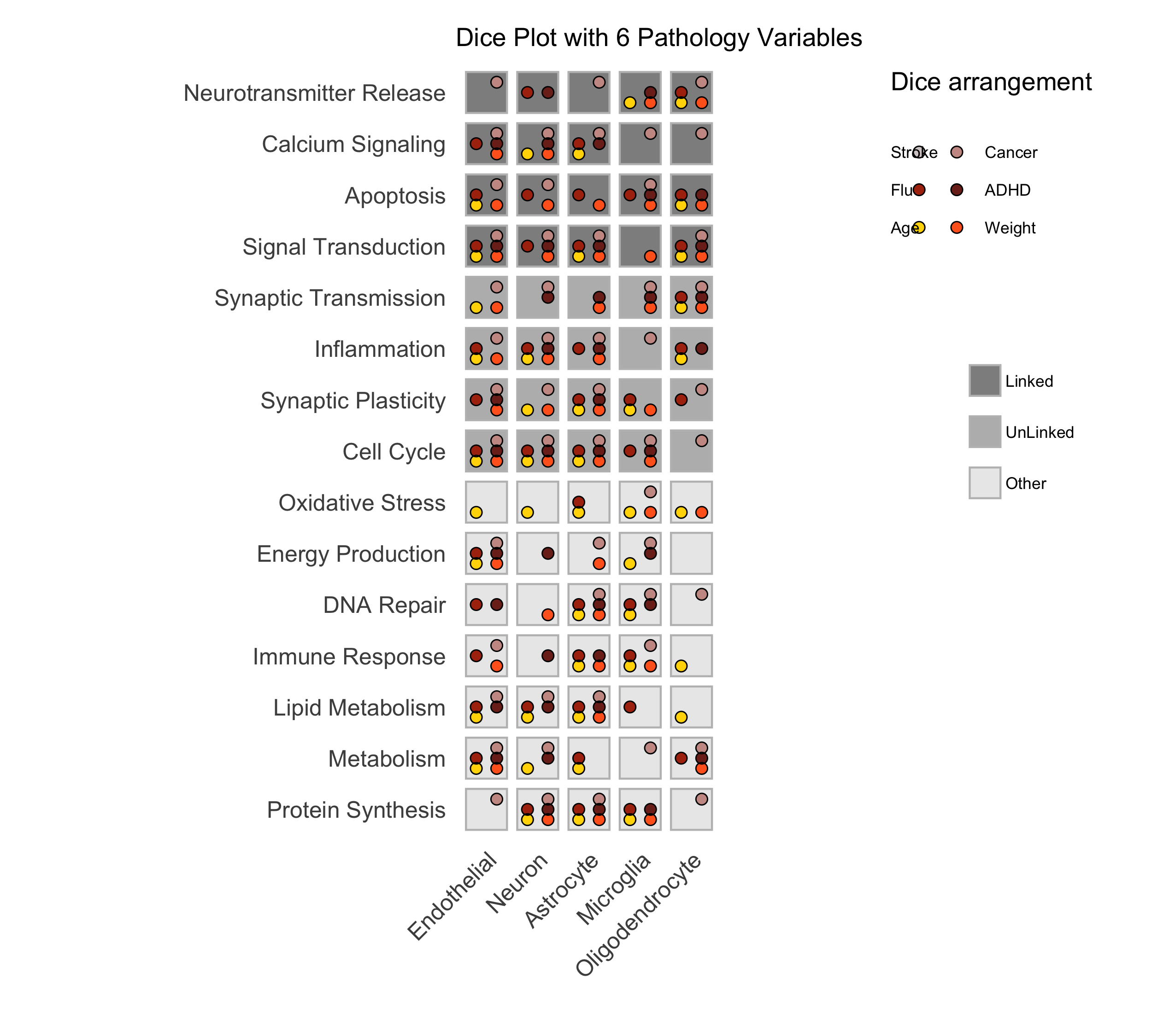 Sample Dice with 6 categories Plot